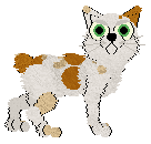 Tea/Calluna's Luck of the Irish — “Shamrock”