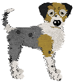 Profile image of Sz's Wizard-in-Training