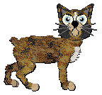 Profile image of Calluna's Marlboro Gold