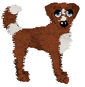 Profile image of Sz's Gut Health