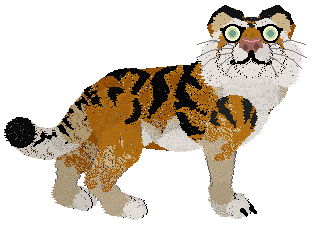 FK/Calluna's Dare Seize the Fire — “Kinnow”