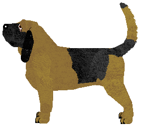 Rosestone's Country Bumpkin — “Fran”