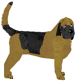 Profile image of Rosestone's Country Bumpkin