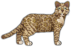 Profile image of Blizzard Reincarnation