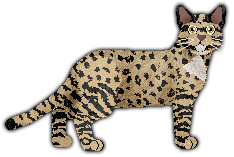 Profile image of Blizzard Follow Your Legend