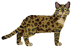 Blizzard Desert Wind — “Khalif”