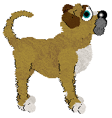 MMK's Spark of Life — “Sparky”