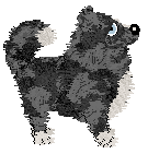 PD's From Under the Sun — “Swirl”