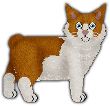 Profile image of Blizzard East Wind