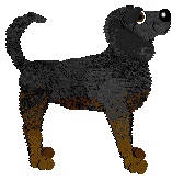 TrailHawk's Dipped in Mud — “Clayton”