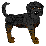 Profile image of TrailHawk's Dipped in Mud