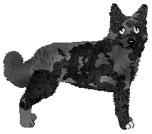 Profile image of Wait For It' CRAZY LITTLE PSYCHO