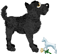 Profile image of EC's Wolf Moon