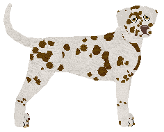Profile image of Rosestone's Chocolate Covered Spots