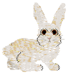 Bláith's Christmas Cake — “Cashew”