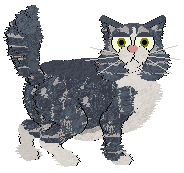 Outtumbll Star Burst — “Majesty”