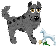 Profile image of EC's High INfidelity Radio Wave