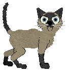 Taremu Blissfully Perfect — “Kato”