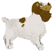 BFK's Idiosyncrasies of Individuals — “Carmella”