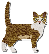 Profile image of Airship Four-Calendar Café