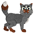 Mos Eisley's What A Night — “Vino”