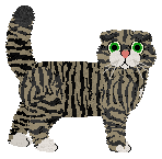 Flicker Tiger Tail Temptress — “Flower”