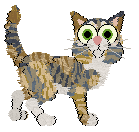 Outtumbll Stars Above — “Virginia”