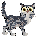 Outtumbll Coastal Paradise — “Dysi”