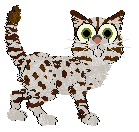 Outtumbll Breaking Waves — “Onda”