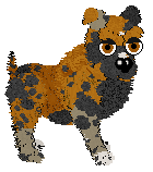 FDL's La Terre Berrichonne — “Indrien”