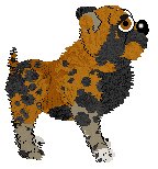 Profile image of FDL's La Terre Berrichonne