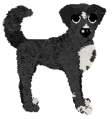 Bec's Must be Midnight at Medusa — “Darknoon”