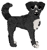 Bec's Must be Midnight at Medusa — “Darknoon”