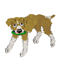 Sz's Maximum Approval at Medusa — “Digsy”