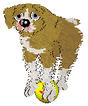 Sz's Maximum Approval at Medusa — “Digsy”