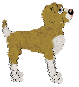 Sz's Maximum Approval at Medusa — “Digsy”