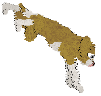 Sz's Maximum Approval at Medusa — “Digsy”