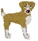 Sz's Maximum Approval at Medusa — “Digsy”