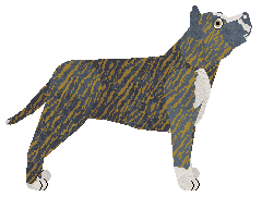 Kamvis' Hurricane Force — “Hurricane”