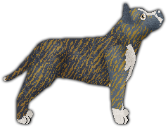 Profile image of Kamvis' Hurricane Force