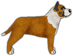 Profile image of Blizzard CLARESSA SHIELDS