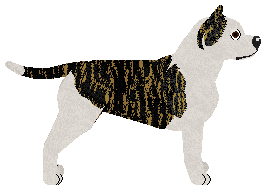 Blizzard Call of Freedom — “Liberty”