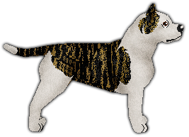 Profile image of Blizzard Call of Freedom