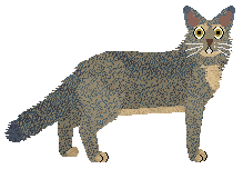 Mirror Blue's Golden Slumbers — “Jolie”