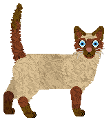 Mirror Blue's Mechanical Man — “Hugo”