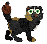 Sungraze's Look In The Mirror at Wild Road — “Cornwall”