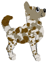 Sungraze's Heart on Fire at Wild Road — “Turnips”