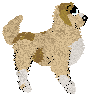 HK's Star Turn at Wild Road — “Phoebe”