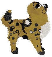 Amphigory's Kelofin at Wild Road — “Kelofin”