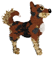 Steph's Bakersfield at Wild Road — “Kane”